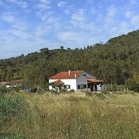 Al- Quinta Dos Carvalhais Rio Maior Dış mekan fotoğraf