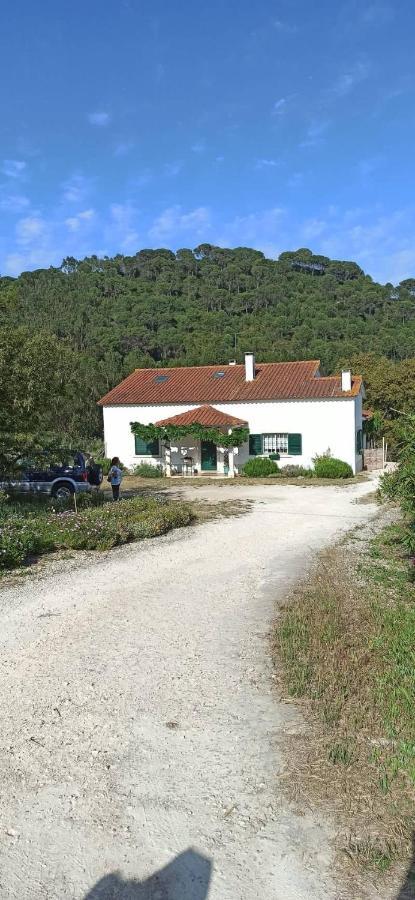 Al- Quinta Dos Carvalhais Rio Maior Dış mekan fotoğraf